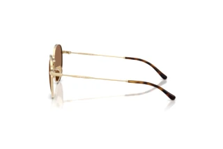 Side view Vogue Eyewear VJ1002 (848/73)