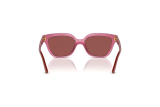 Rear view Vogue Eyewear VJ2021 (306569)