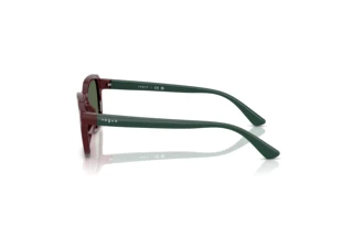 Side view Vogue Eyewear VJ2025 (247371)