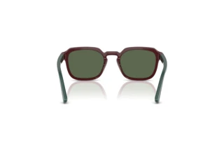 Rear view Vogue Eyewear VJ2025 (247371)
