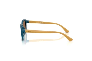 Side view Vogue Eyewear VJ2025 (319073)