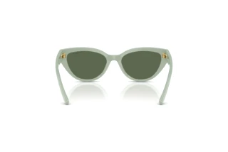 Rear view Vogue Eyewear VJ2026 (318371)