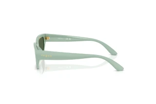 Side view Vogue Eyewear VJ2029 (320571)