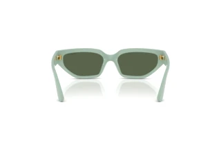 Rear view Vogue Eyewear VJ2029 (320571)