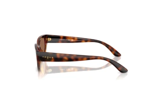 Side view Vogue Eyewear VJ2029 (W65673)