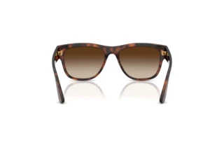 Rear view Vogue Eyewear VJ2030 (271813)