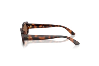 Side view Vogue Eyewear VJ2031 (271873)