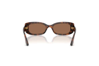 Rear view Vogue Eyewear VJ2031 (271873)