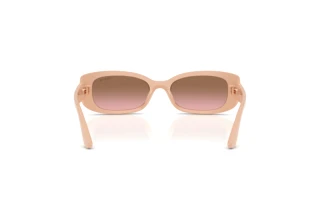 Rear view Vogue Eyewear VJ2031 (326314)