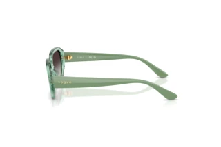 Side view Vogue Eyewear VJ2034 (32748G)