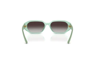 Rear view Vogue Eyewear VJ2034 (32748G)