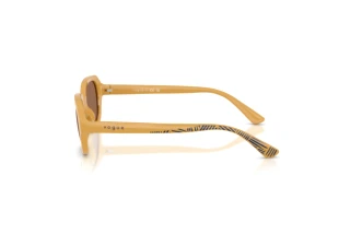 Side view Vogue Eyewear VJ2035 (327373)