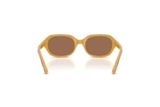 Rear view Vogue Eyewear VJ2035 (327373)