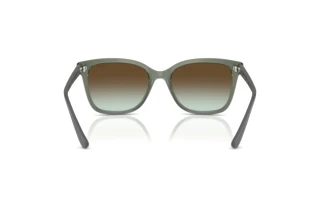 Rear view Vogue Eyewear VO5426S (3086E8)