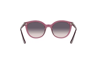 Rear view Vogue Eyewear VO5427S (276136)