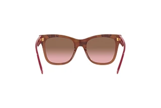 Rear view Vogue Eyewear VO5428S (299414)