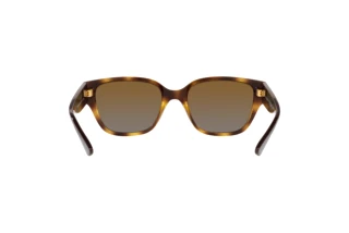 Rear view Vogue Eyewear VO5459SB (W656T5)