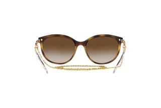 Rear view Vogue Eyewear VO5460S (W65613)