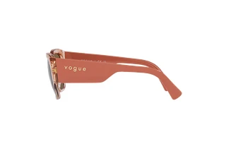 Side view Vogue Eyewear VO5462S (295473)