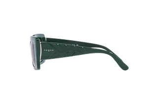 Side view Vogue Eyewear VO5481S (305011)