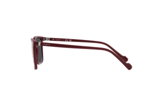 Side view Vogue Eyewear VO5493S (304887)