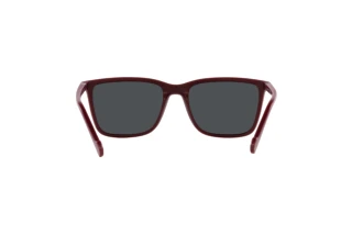 Rear view Vogue Eyewear VO5493S (304887)