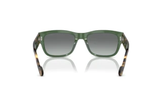 Rear view Vogue Eyewear VO5530S (309211)