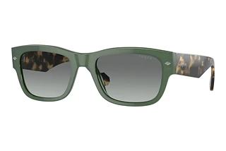 Vogue Eyewear VO5530S 309211