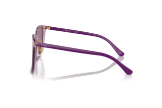 Side view Vogue Eyewear VO5537SD (29228H)