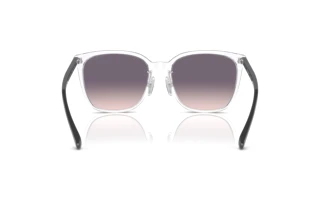 Rear view Vogue Eyewear VO5537SD (W74536)