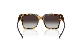 Rear view Vogue Eyewear VO5553S (26058G)