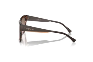 Side view Vogue Eyewear VO5553S (314514)