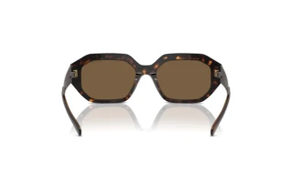 Rear view Vogue Eyewear VO5554S (W65673)