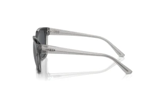 Side view Vogue Eyewear VO5558S (313387)