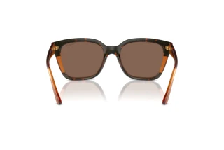 Rear view Vogue Eyewear VO5558S (313473)