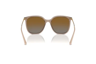 Rear view Vogue Eyewear VO5564S (2940T5)