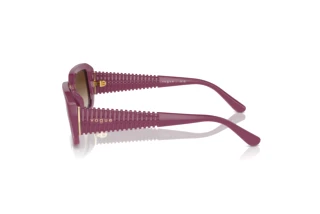 Side view Vogue Eyewear VO5565S (312313)