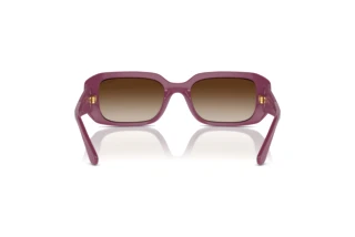 Rear view Vogue Eyewear VO5565S (312313)