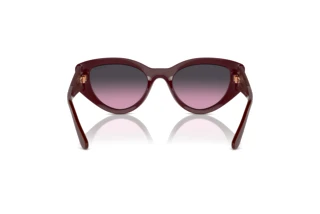 Rear view Vogue Eyewear VO5566S (304890)
