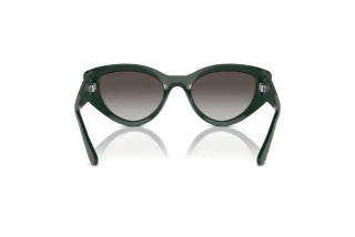 Rear view Vogue Eyewear VO5566S (31228G)