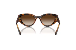 Rear view Vogue Eyewear VO5566S (W65613)