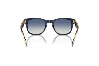 Rear view Vogue Eyewear VO5571S (31434L)