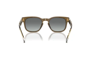 Rear view Vogue Eyewear VO5571S (314411)