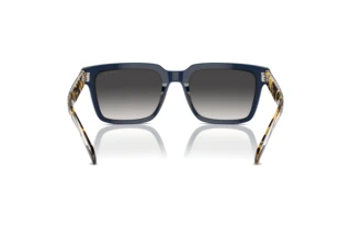 Rear view Vogue Eyewear VO5573S (31438G)