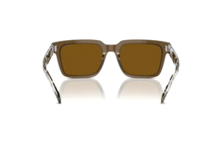Rear view Vogue Eyewear VO5573S (314483)