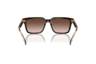 Rear view Vogue Eyewear VO5573S (W65613)