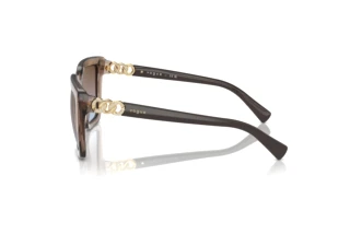 Side view Vogue Eyewear VO5575SB (294048)