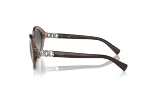 Side view Vogue Eyewear VO5576SB (294011)