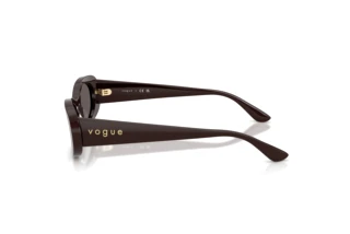 Side view Vogue Eyewear VO5582S (225287)