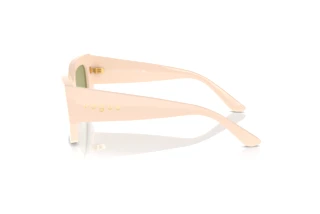 Side view Vogue Eyewear VO5583S (316482)